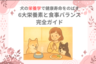 犬の栄養学で健康寿命をのばす|6大栄養素と食事バランスの完全ガイド
