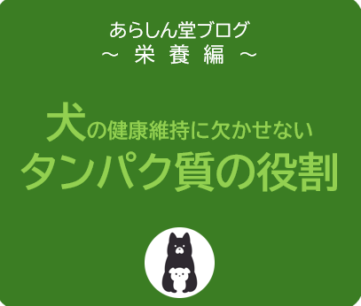 犬の健康維持に欠かせないタンパク質の役割
