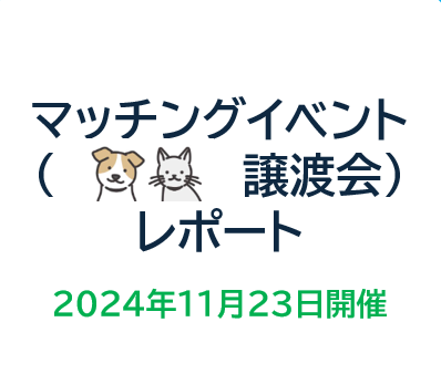 譲渡会レポート！【2024年11月】