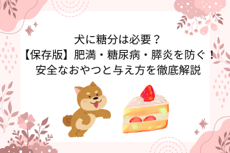 犬に糖分は必要？【保存版】肥満・糖尿病・膵炎を防ぐ！安全なおやつと与え方を徹底解説