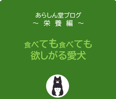 食べても食べても欲しがる愛犬