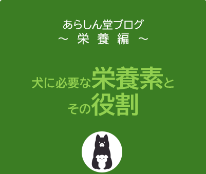 犬に必要な栄養素とその役割を解説