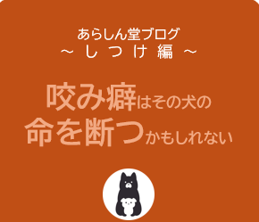 犬の咬み癖を絶対に直すべき理由｜愛犬自身の命に関わる行動をやめさせるしつけ法とは？