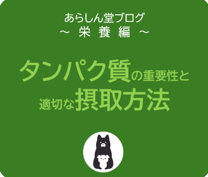 タンパク質の重要性と適切な摂取法について