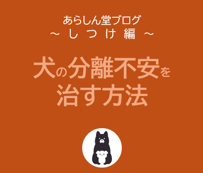 犬の分離不安を治す方法【徹底解説】—原因と解決法をわかりやすく解説！