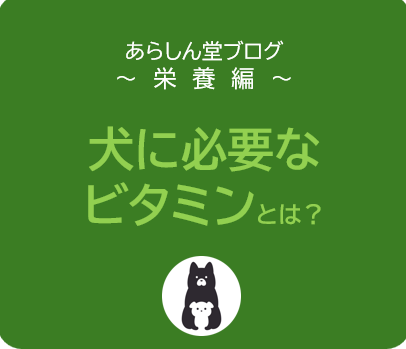 犬に必要なビタミンとは？健康維持に欠かせない栄養素を徹底解説