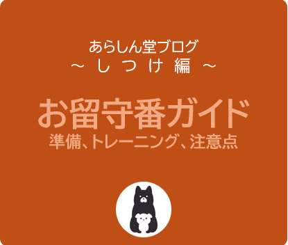 犬のお留守番準備とトレーニング、注意点【ガイド】