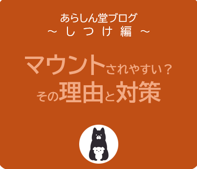 愛犬がマウントされる理由とは？優しい子を守る対策ガイド