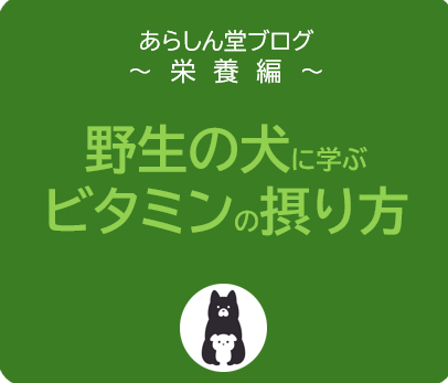 野生の犬に学ぶ：ビタミンの摂り方