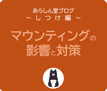 飼い主が知るべき犬のマウンティングの影響と対策