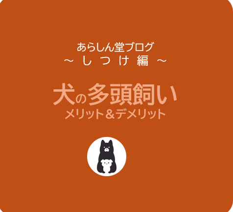犬の多頭飼いのメリット、デメリット