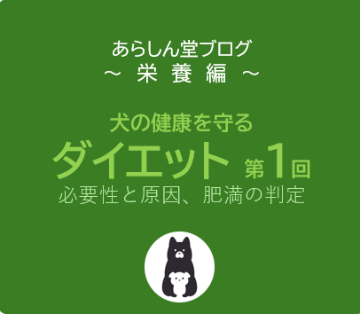 愛犬の健康を守るためのダイエット（第1回／全5回）必要性と原因、肥満の判定