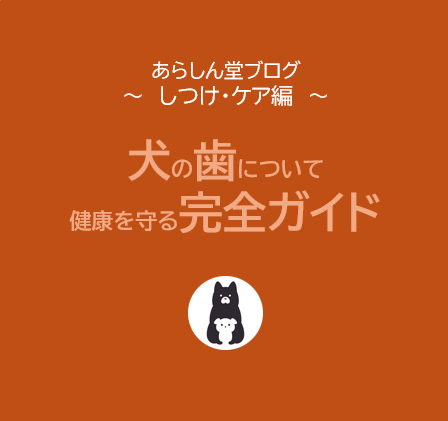 犬の歯について知るべきこと：健康を守るための完全ガイド