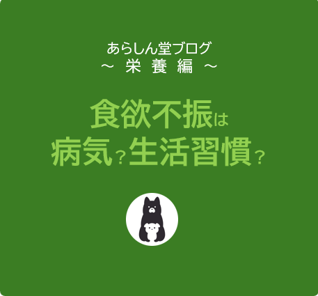 【実践編】犬がごはんを食べない原因9選と対策｜食欲不振は病気？生活習慣？