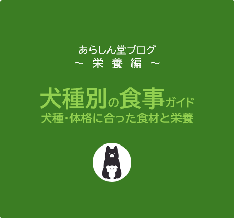 【保存版】犬種別 食事完全ガイド｜洋犬・和犬・大型犬・小型犬に合った食材と栄養管理を解説！