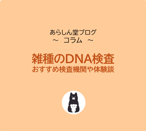 雑種犬のDNA検査でわかる犬種・性格・健康リスク｜おすすめ検査機関と体験談も紹介
