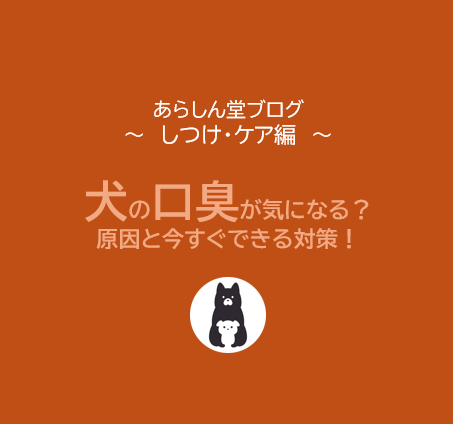 犬の口臭が気になる？原因と今すぐできる予防・対策法を徹底解説！