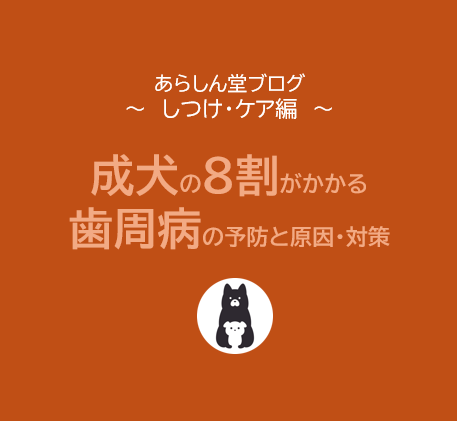 犬の歯周病を予防するには？成犬の8割がかかる怖い病気とその原因・対策を徹底解説