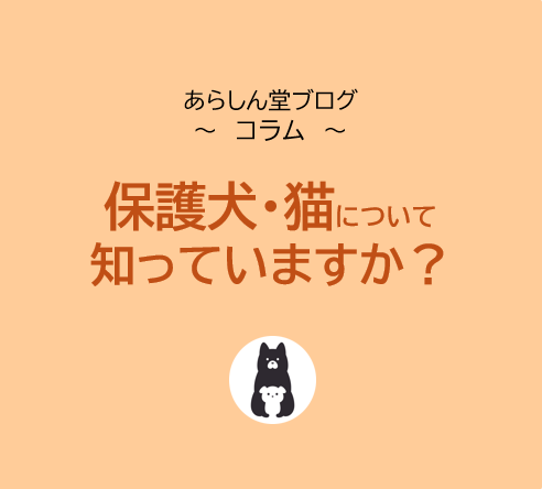 保護犬・保護猫について知っていますか？