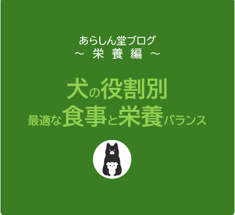 【完全ガイド】犬の役割別｜愛犬に最適な食事の選び方と栄養バランス徹底解説