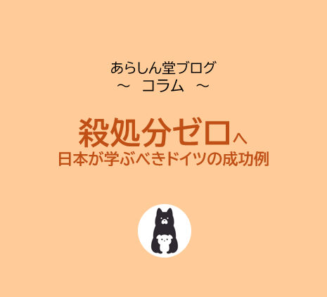 犬猫の殺処分ゼロへ｜日本が学ぶべき実践策とドイツの成功例