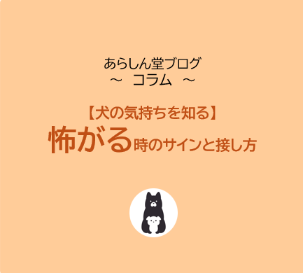 【犬の気持ちを知る】愛犬が怖がるときのサインと正しい接し方｜犬の不安をやわらげる方法とは？