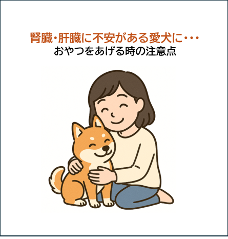 【愛犬のために】あらしん堂が”売らない選択”をしてでも伝える｜腎臓・肝臓に不安がある犬のおやつ注意点