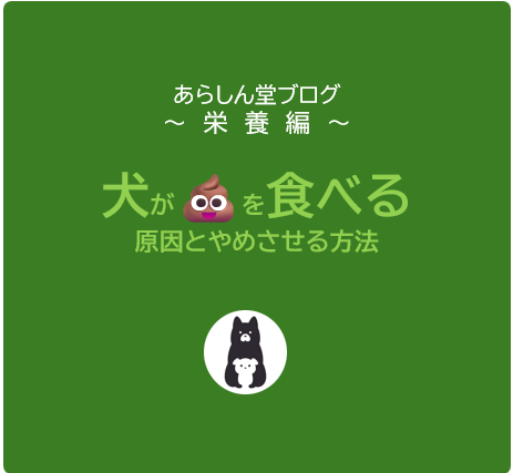 【徹底解説】犬がうんちを食べる理由8選｜食糞行動の原因とやめさせる対処法