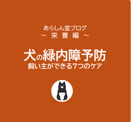 犬の緑内障を家庭で予防！飼い主ができる7つのケア習慣
