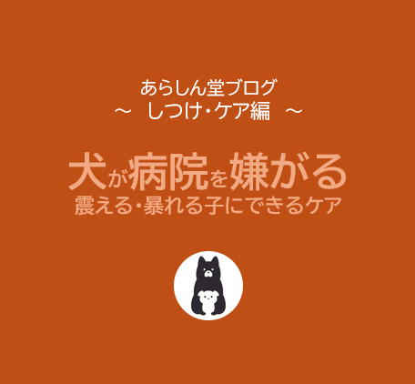 犬が動物病院を嫌がる原因と対処法｜震える・暴れる子にできる5つの安心ケア