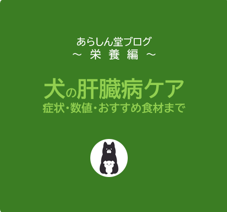 【最新版】犬の肝臓病ケアと食事完全ガイド｜症状・数値・手作り食・おすすめ食材まで徹底解説