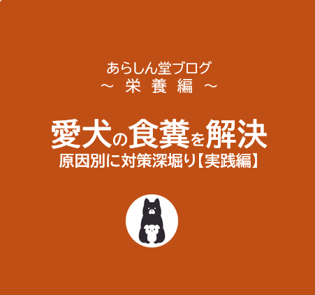 【実践編】愛犬の食糞を解決！原因別アプローチで対策深堀り