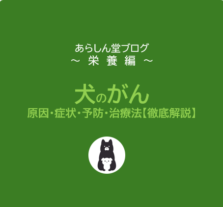 犬のがんとは？原因・症状・予防・治療法まで徹底解説【完全ガイド】