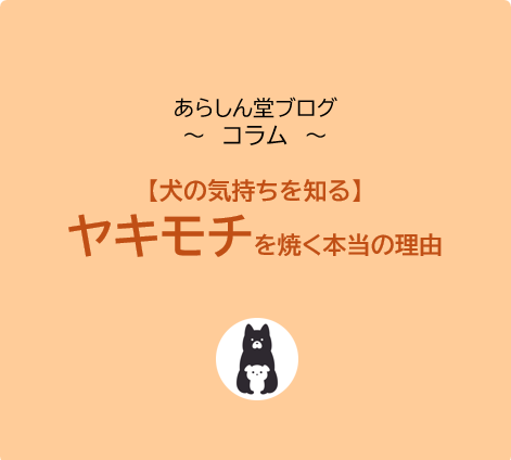 【犬の気持ちを知る】犬がヤキモチを焼く本当の理由とは？嫉妬行動のサイン・原因・正しい対処法を徹底解説！