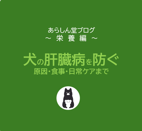 【手遅れになる前に】犬の肝臓病を防ぐための完全ガイド｜食事・サプリ・日常ケアまで徹底解説