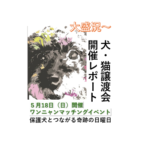 2025年5月【山譲渡会レポート】ワンニャン・マッチングイベント第2回開催｜保護犬とつながる奇跡の日曜日