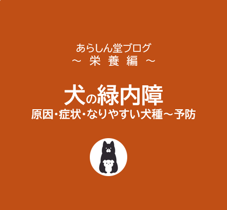 【保存版】犬の緑内障とは？原因・症状・なりやすい犬種、予防と対策までわかりやすく解説！