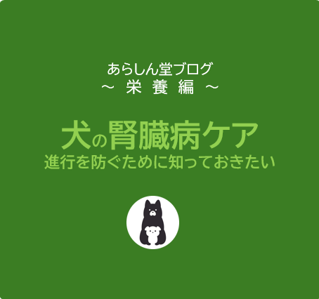 【保存版】犬の腎臓病ケアと食事管理｜進行を防ぐために知っておきたい食材と注意点
