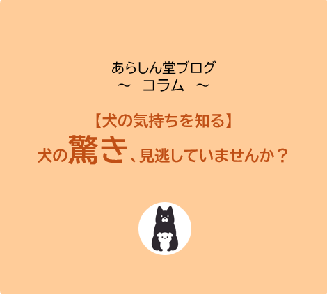 【犬の気持ちを知る】行動サインからわかる「驚き」のメソッドとその本質｜犬の驚き、見逃していませんか？