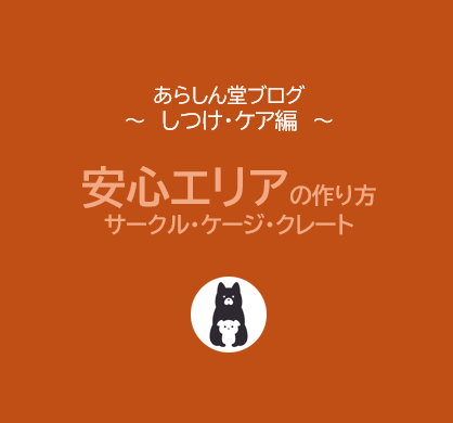 【犬のテリトリー問題】なぜソファやベッドを占領する？犬のための安心エリアの作り方