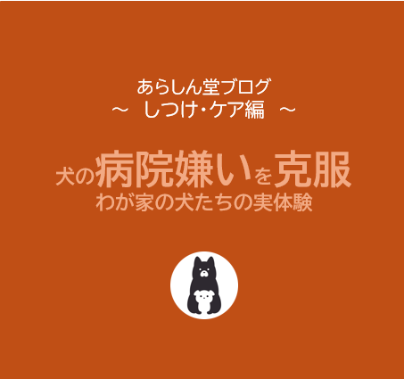 【犬の病院嫌いを克服！】わが家の犬たちの実体験