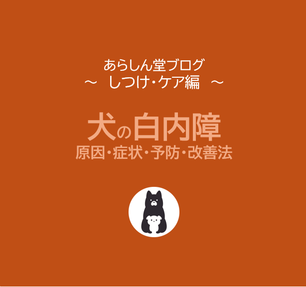 【犬の白内障】原因・症状・予防・改善法を徹底解説｜手術の必要性や進行を防ぐケア方法も