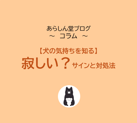 【犬の気持ちを知る】犬は「寂しい」と感じる？行動サインと犬種別の特徴・対処法を徹底解説