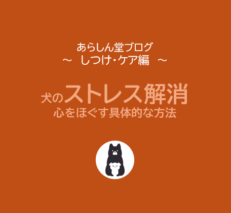 【保存版】犬のストレス解消法｜愛犬の心をほぐす具体的な方法