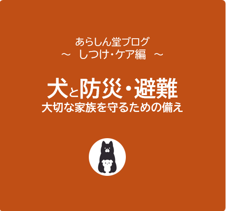 犬と防災・避難｜大切な家族を守るために今からできる備えとは