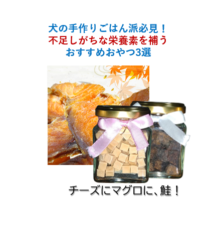 【完全無添加】犬の手作りごはん派必見！不足しがちな栄養素を補うおすすめおやつ3選