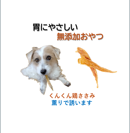 【犬が嘔吐したときの食事ケア】「くんくん鶏ささみ」で胃にやさしい回復サポートを