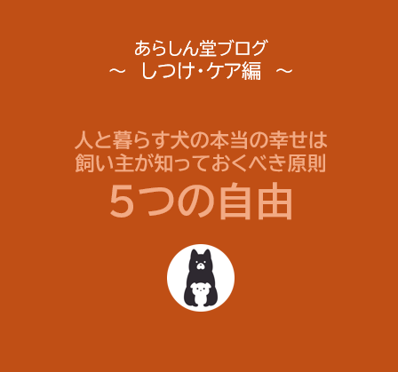 【犬の幸せとは？】人と暮らすすべての犬に必要な「５つの自由」｜飼い主が知っておくべき基本原則