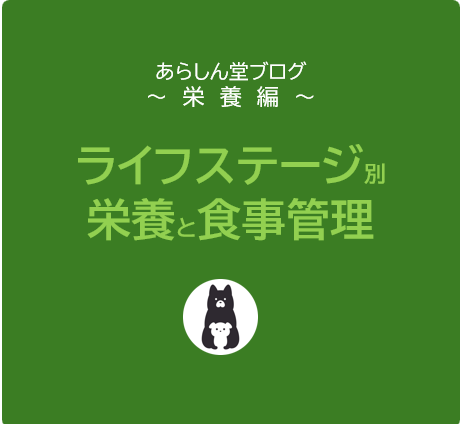 【保存版】犬のライフステージ別フード完全ガイド｜子犬・成犬・シニア犬の栄養と食事管理のコツ