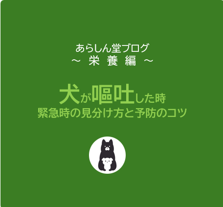 【保存版】犬が嘔吐したときに考えられる原因と正しい対処法｜緊急時の見分け方と予防のコツ
